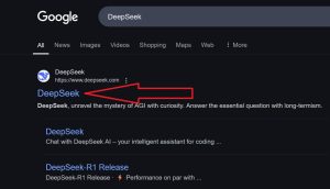 DeepSeek