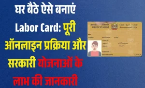 Labor Card